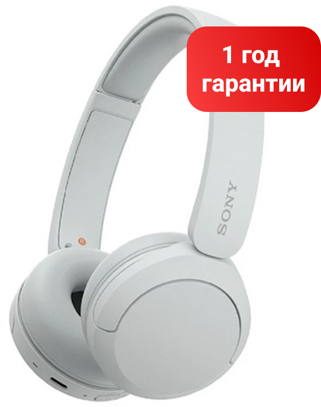 Sony WH-CH520W